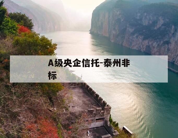 A级央企信托-泰州非标