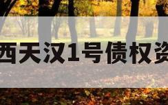 陕西天汉1号债权资产