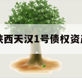 陕西天汉1号债权资产