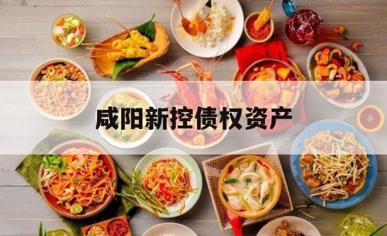 咸阳新控债权资产