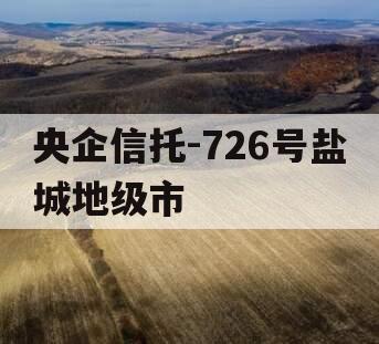 央企信托-726号盐城地级市