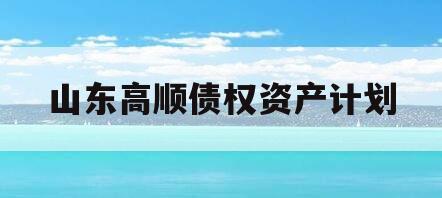 山东高顺债权资产计划