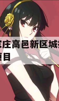 石家庄高邑新区城投债权项目