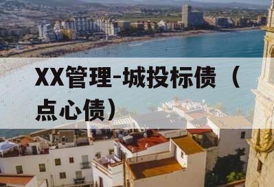 XX管理-城投标债（点心债）