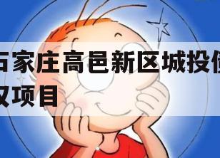 石家庄高邑新区城投债权项目