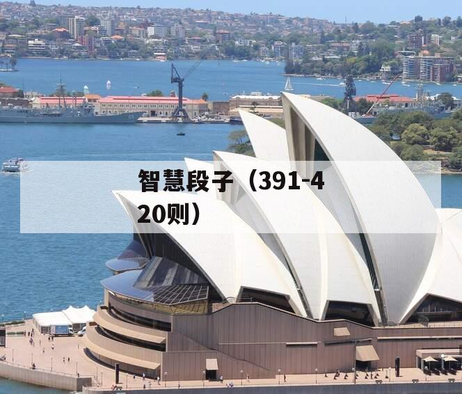 智慧段子（391-420则）