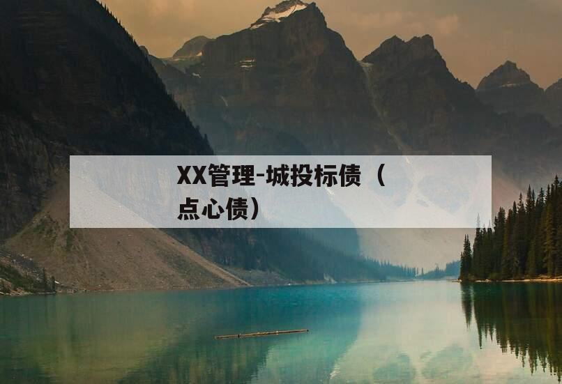 XX管理-城投标债（点心债）