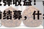 抢抓反弹收益！基金批量提前结募，什么信号？