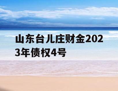 山东台儿庄财金2023年债权4号