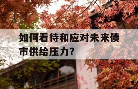 如何看待和应对未来债市供给压力？