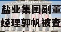 贵州盐业集团副董事长、总经理郭帆被查