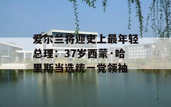 爱尔兰将迎史上最年轻总理：37岁西蒙·哈里斯当选统一党领袖