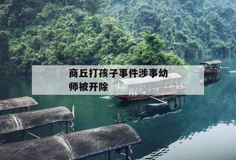 商丘打孩子事件涉事幼师被开除