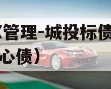 XX管理-城投标债（点心债）