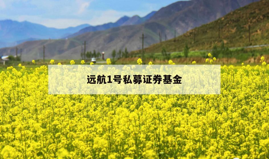 远航1号私募证券基金