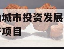 江油城市投资发展债权资产项目