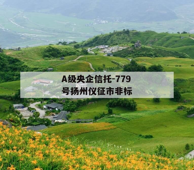 A级央企信托-779号扬州仪征市非标