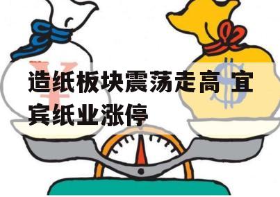 造纸板块震荡走高 宜宾纸业涨停