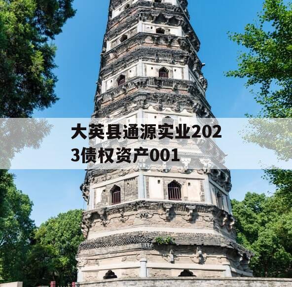 大英县通源实业2023债权资产001