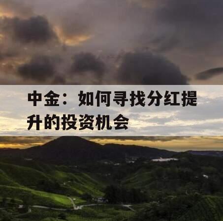 中金：如何寻找分红提升的投资机会