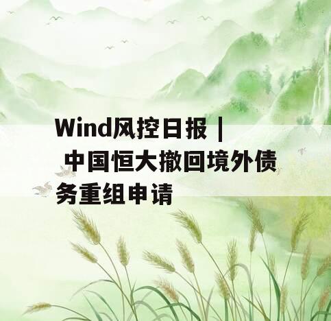 Wind风控日报 | 中国恒大撤回境外债务重组申请