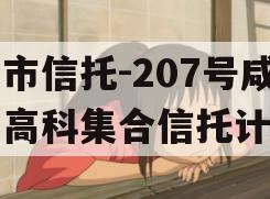 上市信托-207号咸阳高科集合信托计划