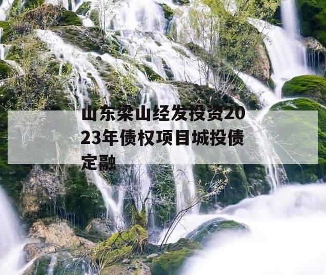 山东梁山经发投资2023年债权项目城投债定融