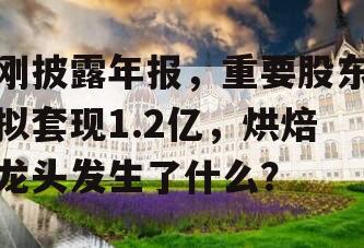 刚披露年报，重要股东拟套现1.2亿，烘焙龙头发生了什么？