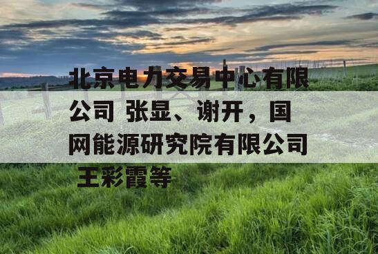 北京电力交易中心有限公司 张显、谢开，国网能源研究院有限公司 王彩霞等