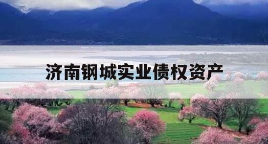 济南钢城实业债权资产