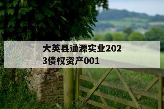大英县通源实业2023债权资产001
