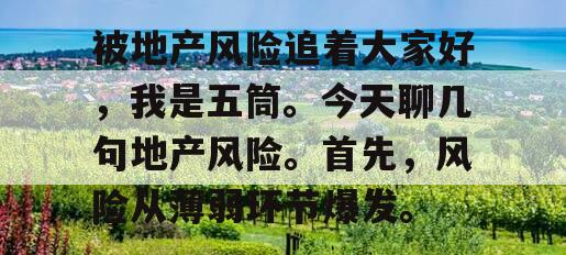 被地产风险追着大家好，我是五筒。今天聊几句地产风险。首先，风险从薄弱环节爆发。