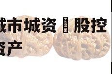 邹城市城资‮股控‬债权资产