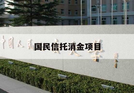 国民信托消金项目