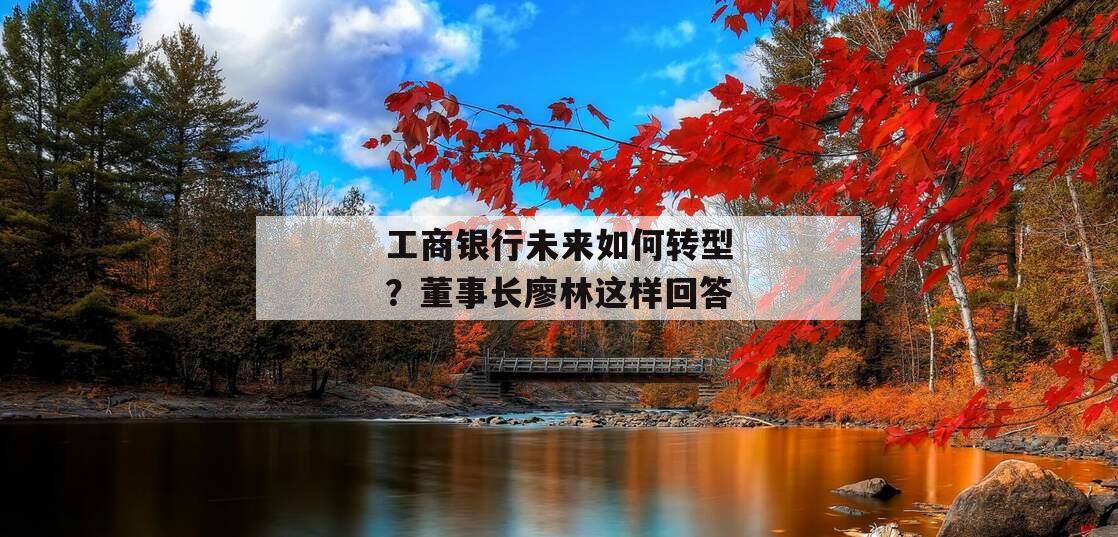 工商银行未来如何转型？董事长廖林这样回答