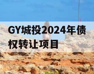 GY城投2024年债权转让项目