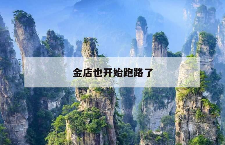 金店也开始跑路了