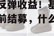 抢抓反弹收益！基金批量提前结募，什么信号？