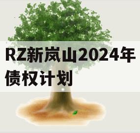 RZ新岚山2024年债权计划