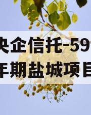 大央企信托-594号一年期盐城项目