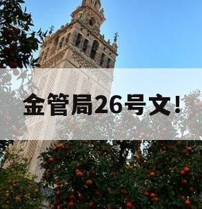 金管局26号文！