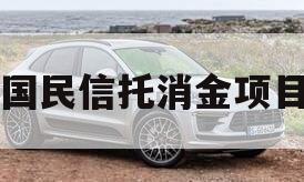 国民信托消金项目