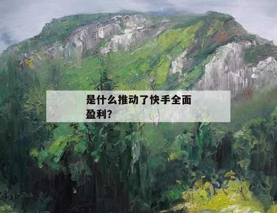 是什么推动了快手全面盈利？