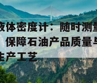 液体密度计：随时测量，保障石油产品质量与生产工艺