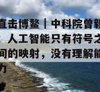 直击博鳌｜中科院曾毅：人工智能只有符号之间的映射，没有理解能力