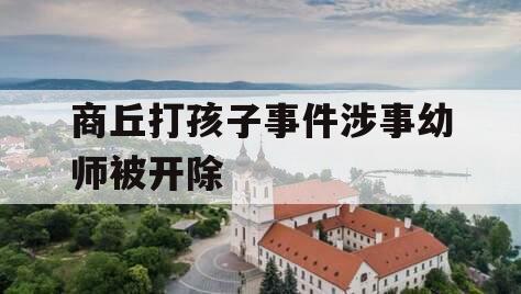 商丘打孩子事件涉事幼师被开除