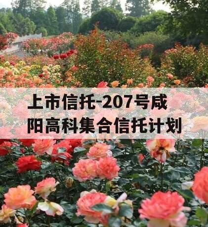 上市信托-207号咸阳高科集合信托计划