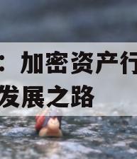 罗玫：加密资产行业的未来发展之路