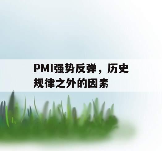 PMI强势反弹，历史规律之外的因素