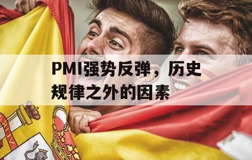 PMI强势反弹，历史规律之外的因素